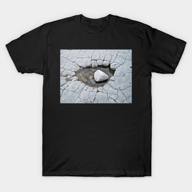 A Stone's Private Swimmingpool T-Shirt by AlexaZari